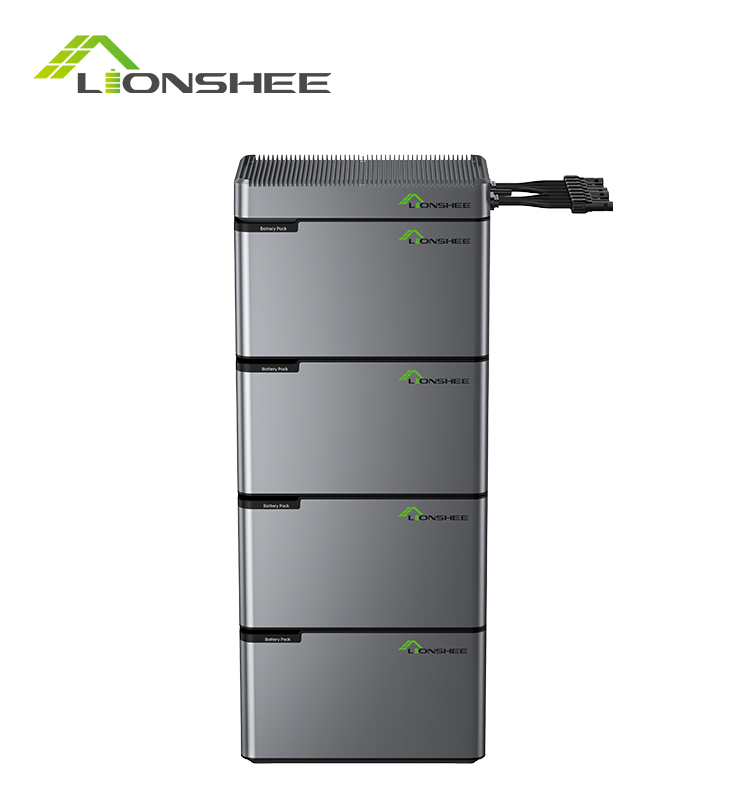 Batteria a energia portatile LIONSHEE LS-L1024 da 4096 W