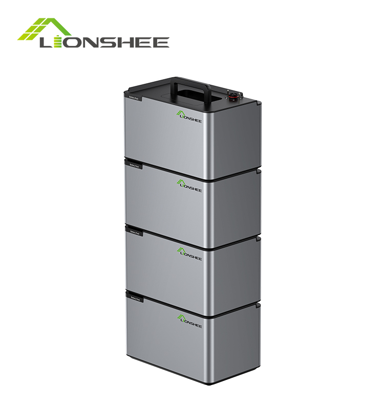 Batteria a energia portatile LIONSHEE LS-L1024 da 4096 W